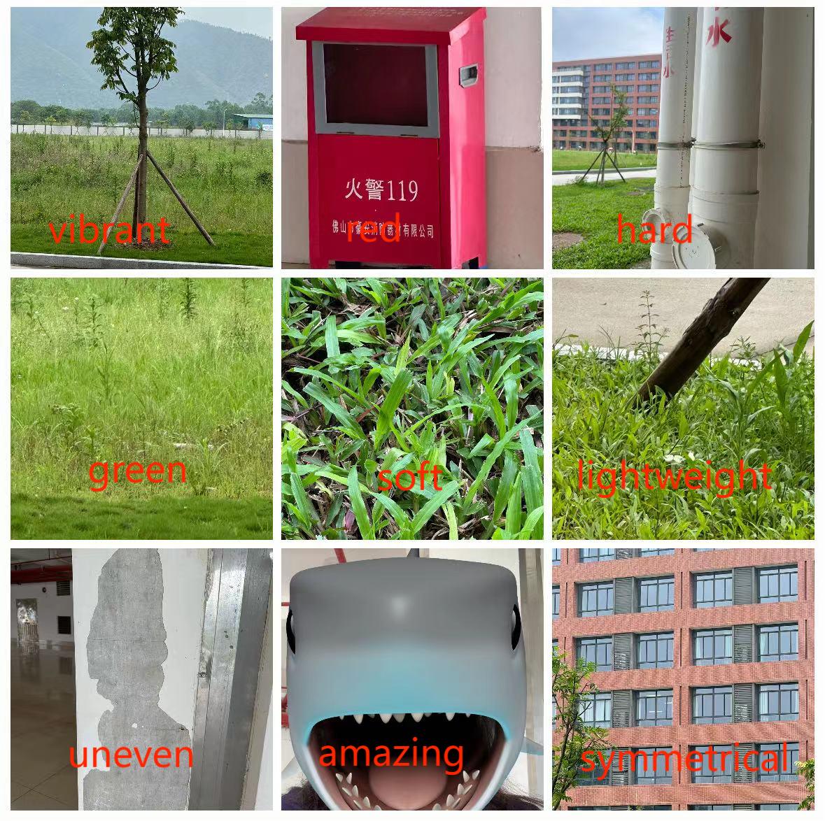 微信图片_20240426163202.jpg